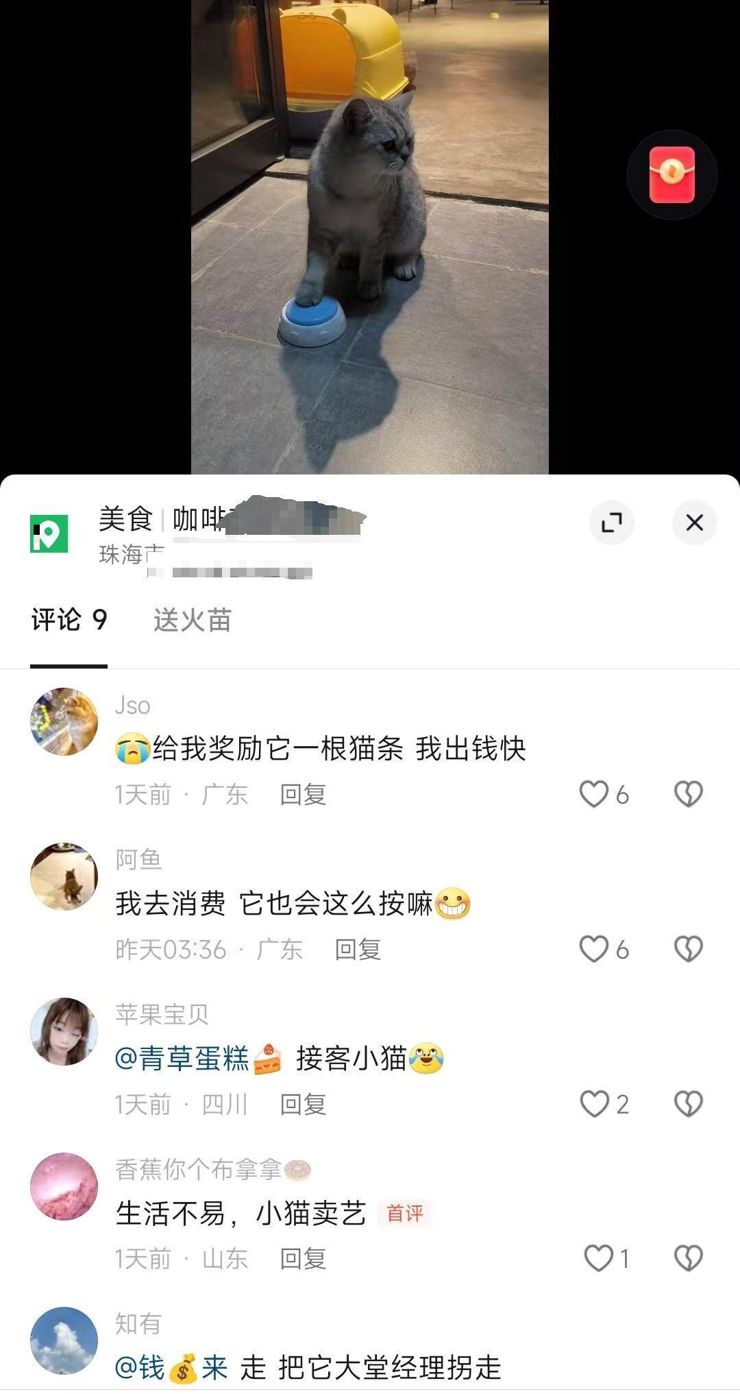 广东一咖啡店猫猫会按铃招揽顾客