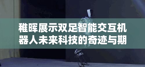 稚晖展示双足智能交互机器人