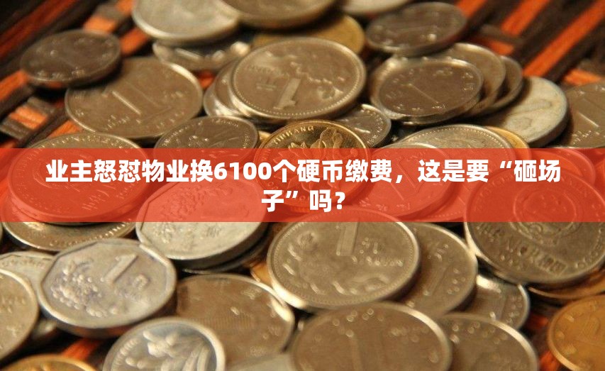 业主不满物业换6100个硬币缴费