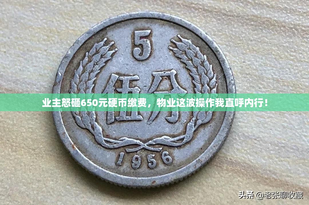 业主因不满物业用650元硬币缴费