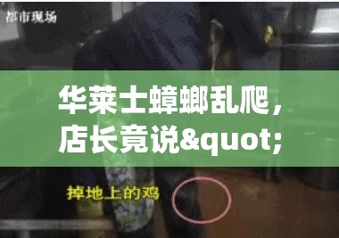 华莱士蟑螂乱爬，店长竟说"业绩更重要"？食品安全底线何在？！