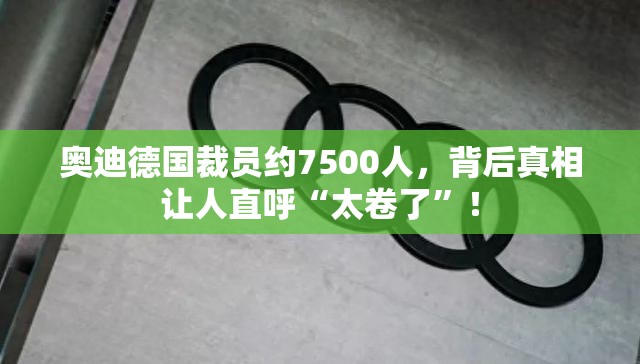 奥迪德国裁员约7500人，背后真相让人直呼“太卷了”！