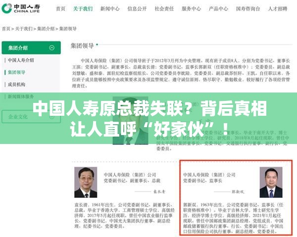 中国人寿原总裁失联？背后真相让人直呼“好家伙”！