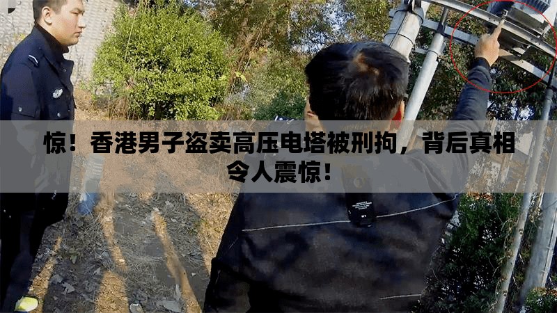 盗卖高压电塔被刑拘