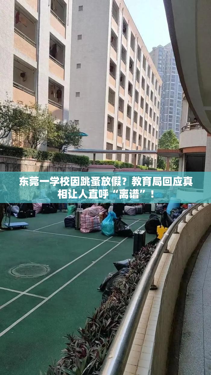 东莞一学校因跳蚤放假？教育局回应