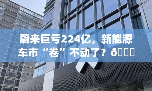 蔚来巨亏224亿，新能源车市“卷”不动了？🚗💸