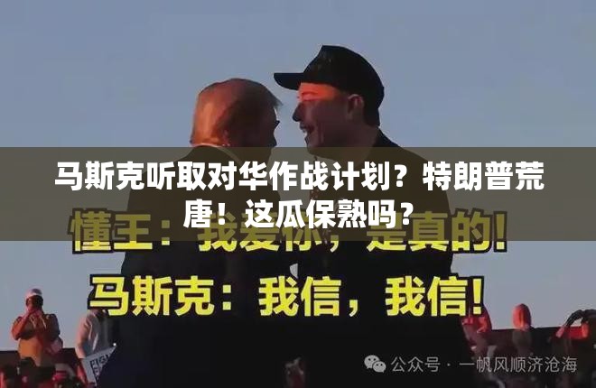 马斯克听取对华作战计划？特朗普：荒唐